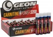 Carnitine Power 3200