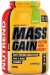 Mass Gain