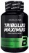 Tribulus Maximus