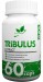 Tribulus