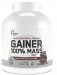 100% Mass Gainer