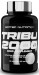 Tribu 2000