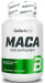 MACA