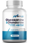 Glucosamine & Chondroitin + MSM Tab