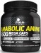Anabolic Amino 5500